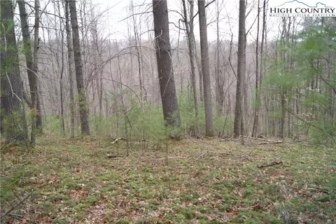 lot69 Laurel Mountain Dr, Sparta, NC 28675