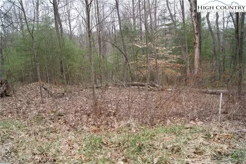 lot68 Forest Hill Dr, Sparta, NC 28675
