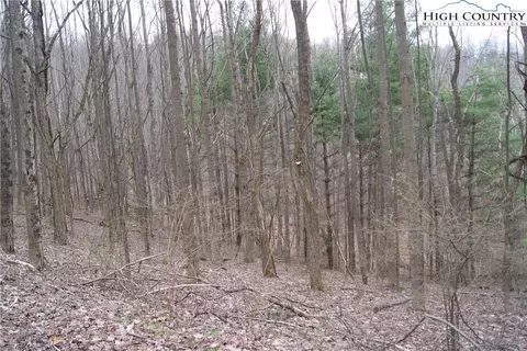 lot61 Forest Hill Dr, Sparta, NC 28675