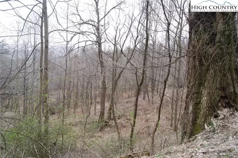 lot57 Toms Knob Rd, Sparta, NC 28675