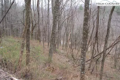 lot56 Toms Knob Rd, Sparta, NC 28675