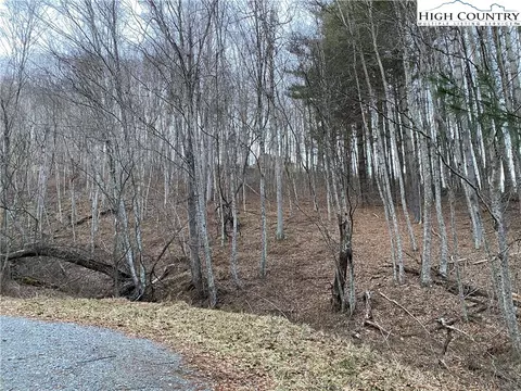 lot55 Laurel Mountain Dr, Sparta, NC 28675