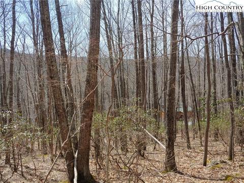 214 Poplar Rd, Beech Mountain, NC 28604 photo 5
