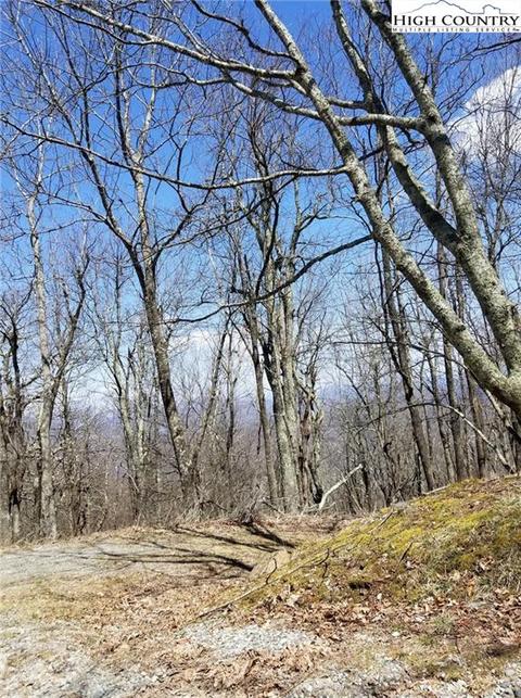 7 Fire Tower Road, Boone, NC 28607 photo 12