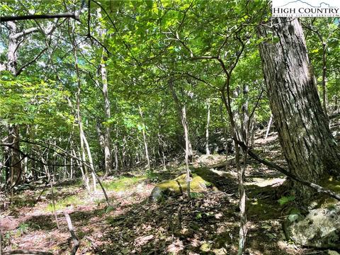 tbd Bob Timberlake Dr, Boone, NC 28607 photo 12