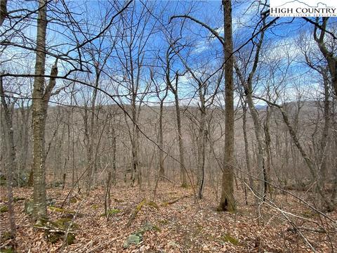 tbd Bob Timberlake Dr, Boone, NC 28607 photo 4