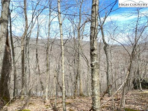 tbd Bob Timberlake Dr, Boone, NC 28607 photo 17