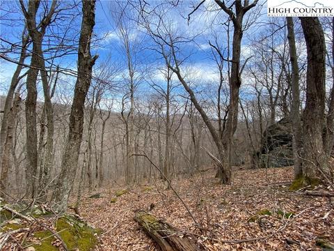 tbd Bob Timberlake Dr, Boone, NC 28607 photo 14