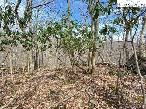 tbd Bob Timberlake Dr, Boone, NC 28607 photo 22