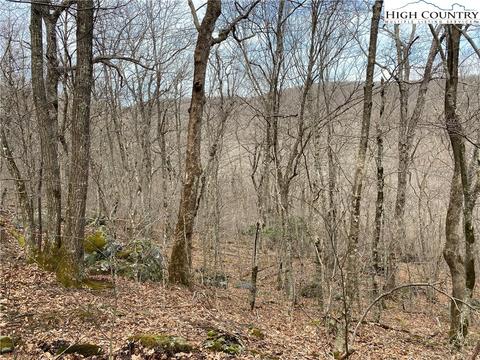 tbd Bob Timberlake Dr, Boone, NC 28607 photo 18
