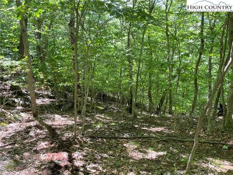 tbd Bob Timberlake Dr, Boone, NC 28607 photo 13