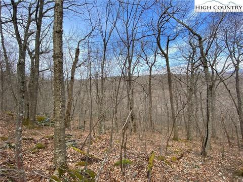 tbd Bob Timberlake Dr, Boone, NC 28607 photo 15