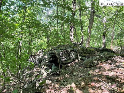 tbd Bob Timberlake Dr, Boone, NC 28607 photo 10