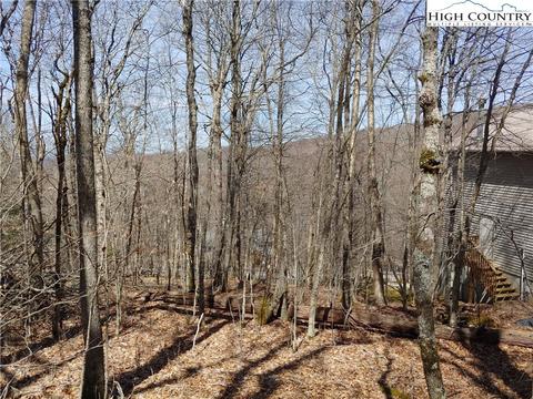 124 Tamarack Rd, Beech Mountain, NC 28604 photo 3