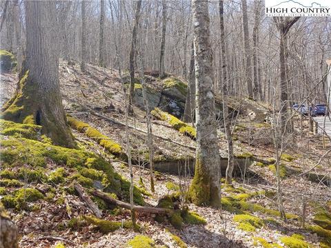 124 Tamarack Rd, Beech Mountain, NC 28604 photo 2