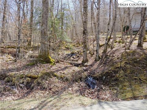124 Tamarack Rd, Beech Mountain, NC 28604 photo 4