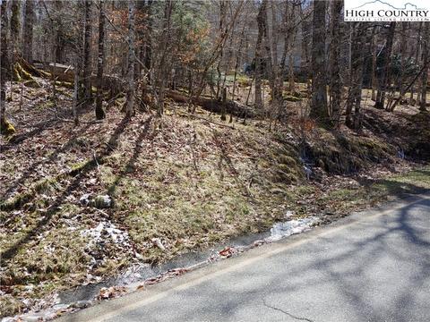 124 Tamarack Rd, Beech Mountain, NC 28604 photo 5