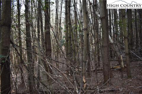 tbd Presnell Rd, Sparta, NC 28675 photo 5