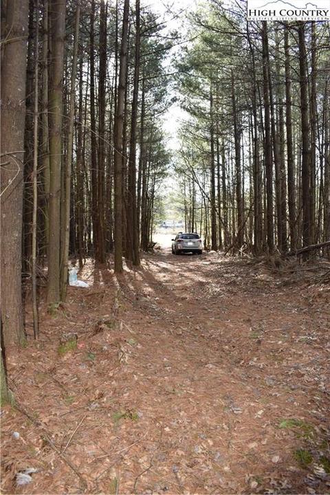 tbd Presnell Rd, Sparta, NC 28675 photo 7
