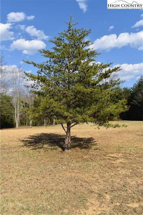 tbd Presnell Rd, Sparta, NC 28675 photo 13