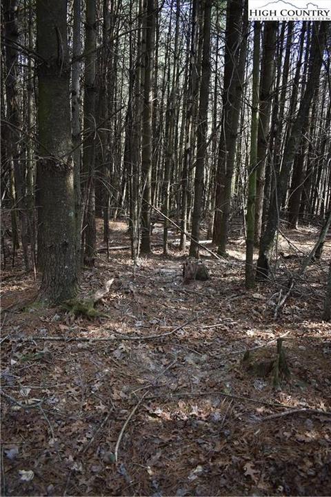 tbd Presnell Rd, Sparta, NC 28675 photo 2