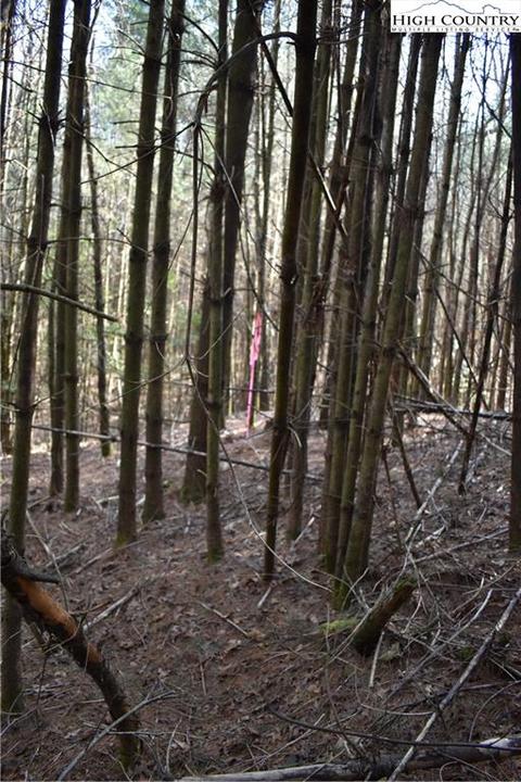 tbd Presnell Rd, Sparta, NC 28675 photo 6