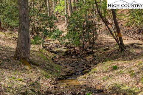 171 Trout Lake Rd, Deep Gap, NC 28618 photo 35