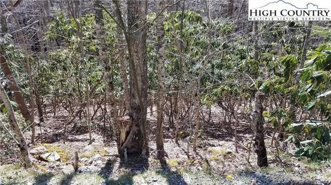 305 Jackpine Rd, Beech Mountain, NC 28604 photo 4