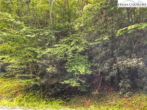 104 Laurel Ln, Beech Mountain, NC 28604 photo 2