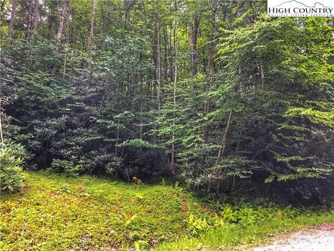 104 Laurel Ln, Beech Mountain, NC 28604 photo 3