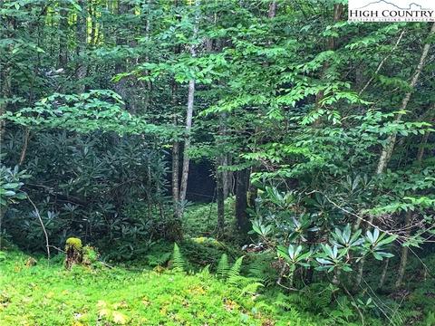 104 Laurel Ln, Beech Mountain, NC 28604 photo 1