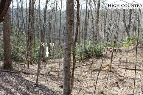 2030 Roaring Fork Rd, Creston, NC 28615 photo 7