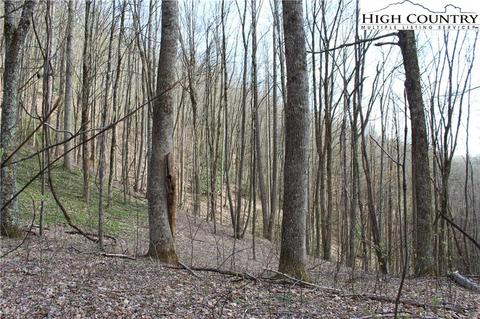 2030 Roaring Fork Rd, Creston, NC 28615 photo 20