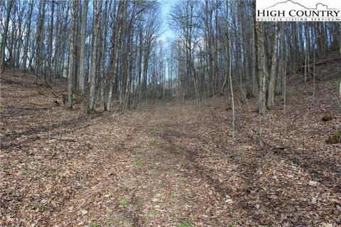 2030 Roaring Fork Rd, Creston, NC 28615 photo 13