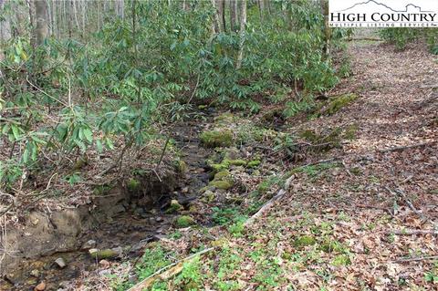 2030 Roaring Fork Rd, Creston, NC 28615 photo 15