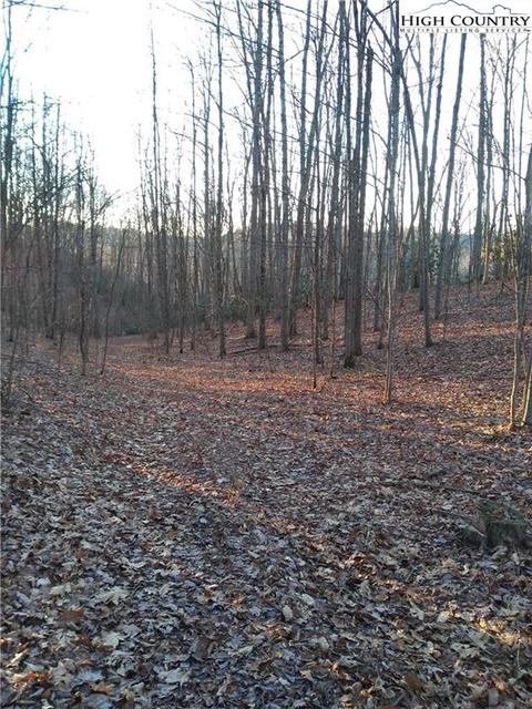 2030 Roaring Fork Rd, Creston, NC 28615 photo 3