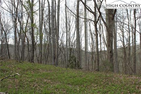 2030 Roaring Fork Rd, Creston, NC 28615 photo 11
