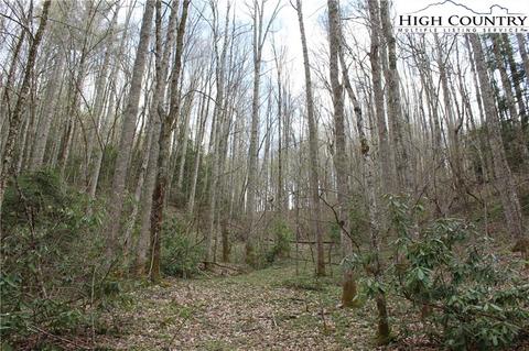 2030 Roaring Fork Rd, Creston, NC 28615 photo 19