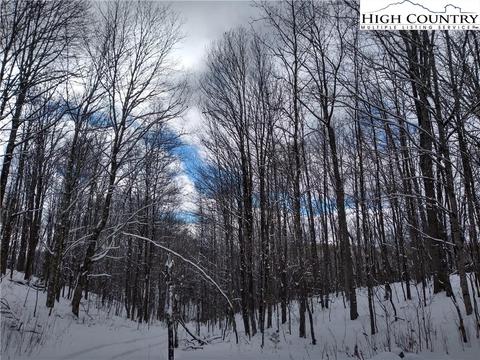 2030 Roaring Fork Rd, Creston, NC 28615 photo 21