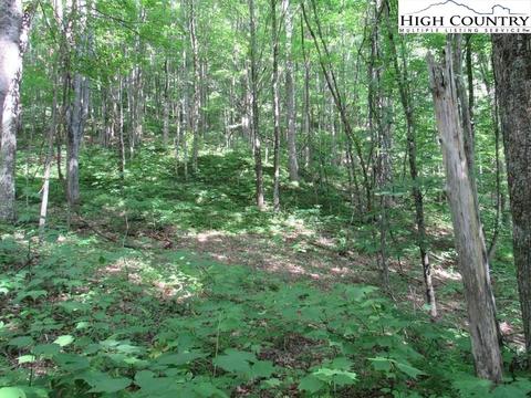 2030 Roaring Fork Rd, Creston, NC 28615 photo 17