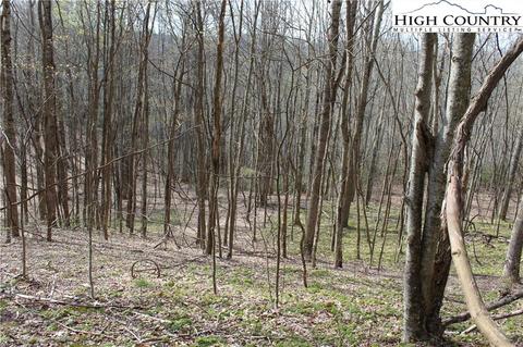 2030 Roaring Fork Rd, Creston, NC 28615 photo 22