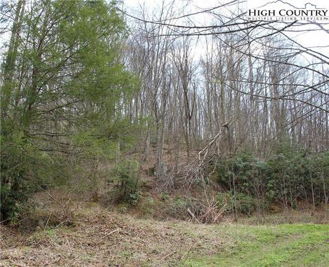 2030 Roaring Fork Rd, Creston, NC 28615 photo 2