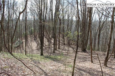 2030 Roaring Fork Rd, Creston, NC 28615 photo 23