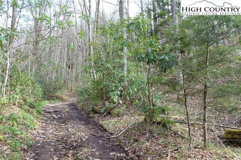 2030 Roaring Fork Rd, Creston, NC 28615 photo 6