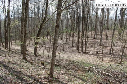 2030 Roaring Fork Rd, Creston, NC 28615 photo 14