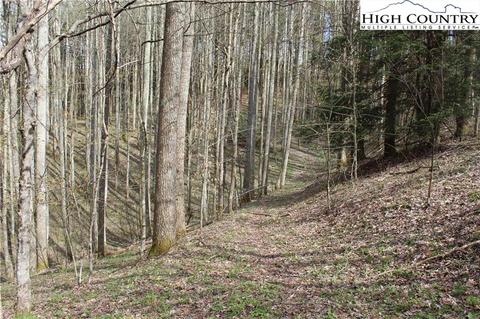 2030 Roaring Fork Rd, Creston, NC 28615 photo 12