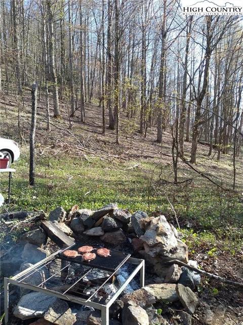 2030 Roaring Fork Rd, Creston, NC 28615 photo 4