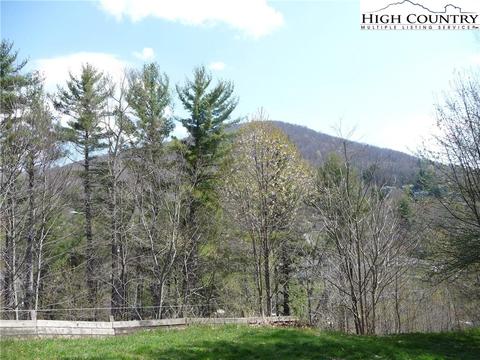175 Thunder Ln, Boone, NC 28607 photo 29