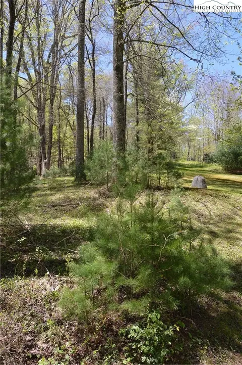 496 Folger Rd, Sparta, NC 28675 photo 5