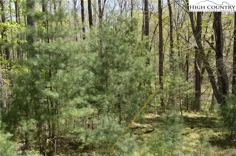 496 Folger Rd, Sparta, NC 28675 photo 2